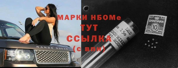 шишки Володарск
