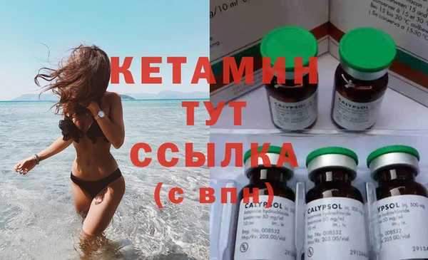шишки Володарск