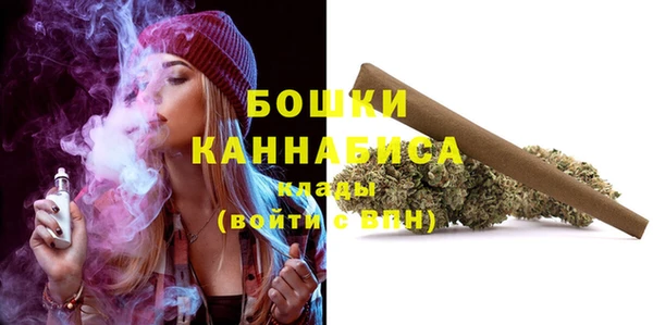 шишки Володарск